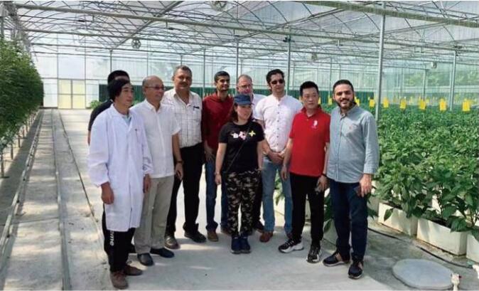 威尼斯9499現代設施農業工程約旦設施農業溫室工程項目